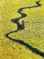 Path - 2023 - Oil using knife - 60x75 I love painting with bright colors! A field of yellow flowers, with a winding road breaking the picture in two. A Deep Purple dress and a small goat (can you...